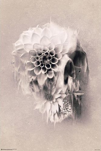 CLOSE UP Plakát, Obraz - Ali Gülec - Decay Skull, (61 x 91.5 cm)