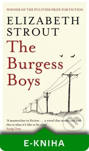 The Burgess Boys - Elizabeth Strout