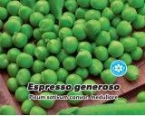 Hrách setý, tyčkový - Espresso generoso - semena hrachu 25 g