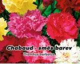 Hvozdník karafiát - Chabaud - Směs barev - semena hvozdíku 0,5g