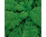 Kadeřávek (rostlina:Brassica oleracea)0,8g