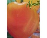Paprika zeleninová-Afrodita(rostlina:Capsicum annuum)35 ks