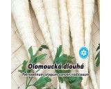 Petržel kořenová - Olomoucká dlouhá - semena petržele 4g