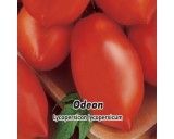 Rajče keříčkové - Odeon - semena rajčete 0,2g