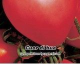 Rajče tyčkové - Cuor di blue - semena rajčete 0,2g