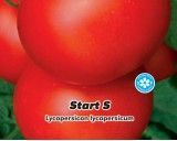 Rajče tyčkové F1 - Start S - semena rajčete 0,2g