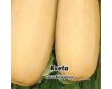 Tykev keříčková - Kveta - semena tykve 3g