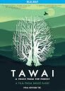 Tawai - A Voice From The Forest