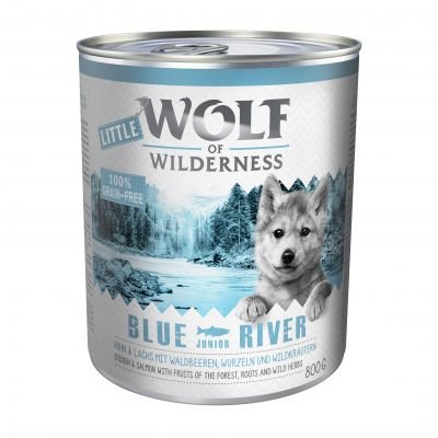 Wolf of Wilderness 6 x 800 g - Arctic Spirit - sobí