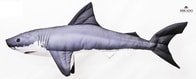 Gaby Polštář Žralok mini - 53 cm