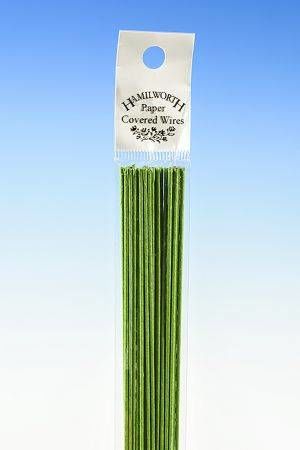 Aranžovací drát zelený 36cm 50ks č.20 - Hamilworth