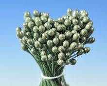 Pestíky perleťové zelené svazek - Hamilworth