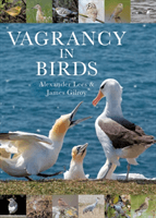 Vagrancy in Birds (Lees Dr Alexander)(Pevná vazba)