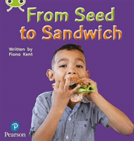 Bug Club Phonics Non-Fiction Early Years and Reception Phase 1 From Seed to Sandwich (Kent Fiona)(Paperback / softback)