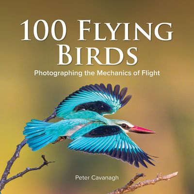 100 FLYING BIRDS (CAVANAGH PETER)(Pevná vazba)
