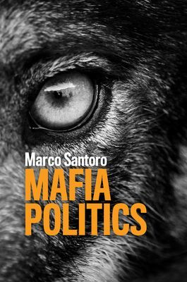 Mafia Politics (Santoro Marco)(Paperback / softback)