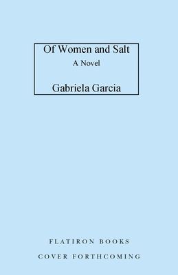 Of Women and Salt - A Novel (Garcia Gabriela)(Paperback)