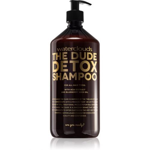 Waterclouds The Dude Detox Shampoo denní detoxikační šampon 100