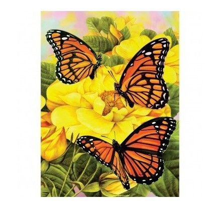 SMT Malování podle čísel - Motýli - 22 x 30 cm - PJS68