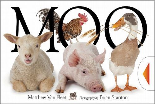 Moo (Van Fleet Matthew)(Pevná vazba)