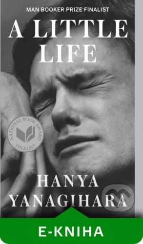 A Little Life - Hanya Yanagihara