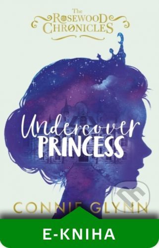 Undercover Princess - Connie Glynn