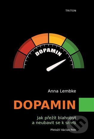 Dopamin - Anna Lembke