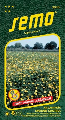 Aksamitník rozkladitý Ground Control