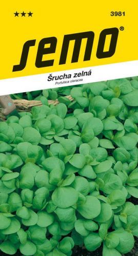 Šrucha Green Purslane