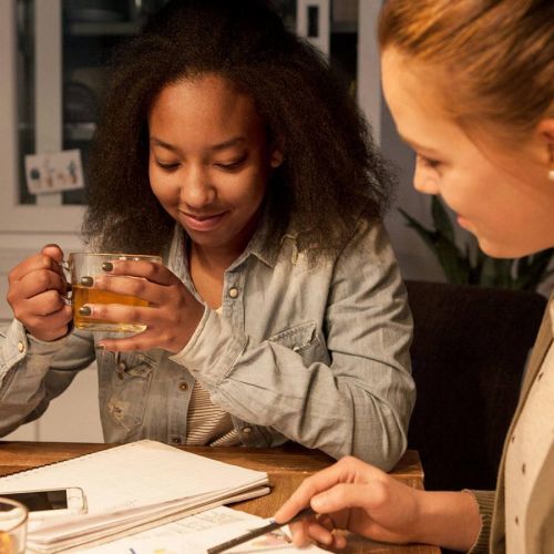 Philips LED dvoupinová žárovka G9 4, 8W 2 700K mat, G9, 4.8W, Energetická třída: E, P: 6 cm