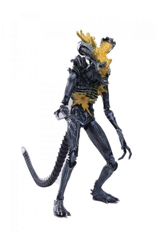 Hiya Toys | Aliens - sběratelská figurka Alien Warrior (Headshot) Previews Exclusive 11 cm