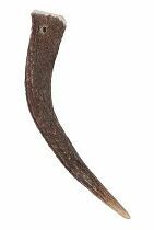 Pochoutka Jelení paroží celé HARD do 15kg Zolux + Množstevní sleva