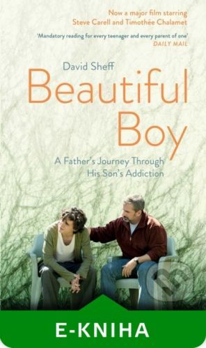 Beautiful Boy - David Sheff