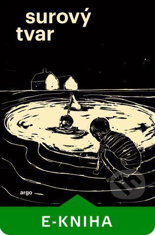 Surový tvar - Lukáš Palán