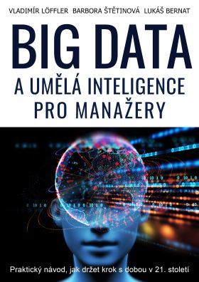 BIG DATA a umělá inteligence pro manažery - Vladimír Löffler, Barbora Štětinová, Lukáš Bernat - e-kniha