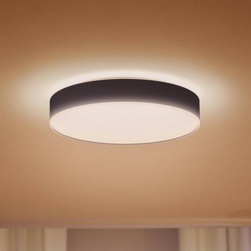 Philips Hue Enrave LED stropní světlo 42, 5cm černá, Obývací pokoj / jídelna, kov, plast, 33.5W, K: 8.4cm