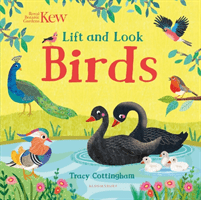 Kew: Lift and Look Birds(Board book)