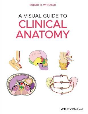 Visual Guide to Clinical Anatomy (Whitaker Robert H.)(Paperback / softback)