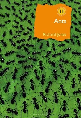 Ants - The ultimate social insects (Jones Richard)(Pevná vazba)