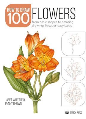 Draw 100: Flowers - From Basic Shapes to Amazing Drawings in Super-Easy Steps (Whittle Janet)(Paperback / softback)