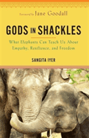 Gods in Shackles - What Elephants Can Teach Us About Empathy, Resilience and Freedom (Iyer Sangita)(Paperback / softback)