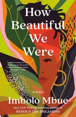 How Beautiful We Were - A Novel