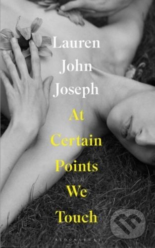 At Certain Points We Touch - Lauren John Joseph