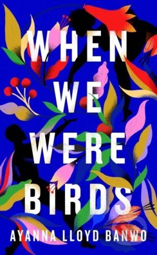When We Were Birds - Ayanna Lloyd Banwo