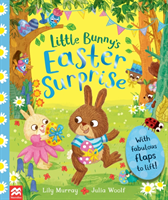 Little Bunny's Easter Surprise (Murray Lily)(Paperback / softback)