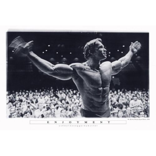 CLOSE UP Plakát, Obraz - Arnold Schwarzenegger - Enjoyment, (91.5 x 61 cm)