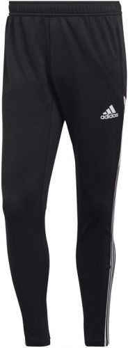 Kalhoty adidas CON22 TR PNT