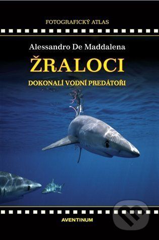 Žraloci - Alessandro De Maddalena