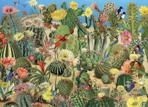 COBBLE HILL Puzzle Kaktusová zahrada 1000 dílků