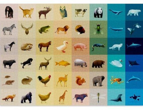 CLOUDBERRIES Puzzle Fauna 1000 dílků